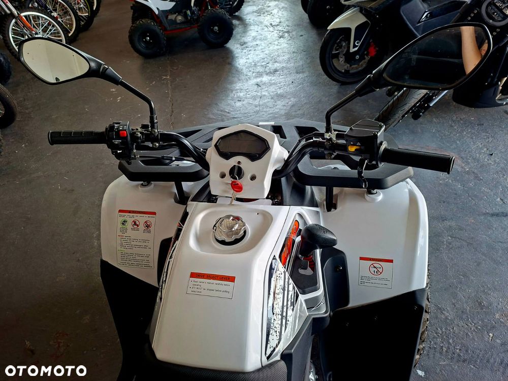 KAYO AU - 3