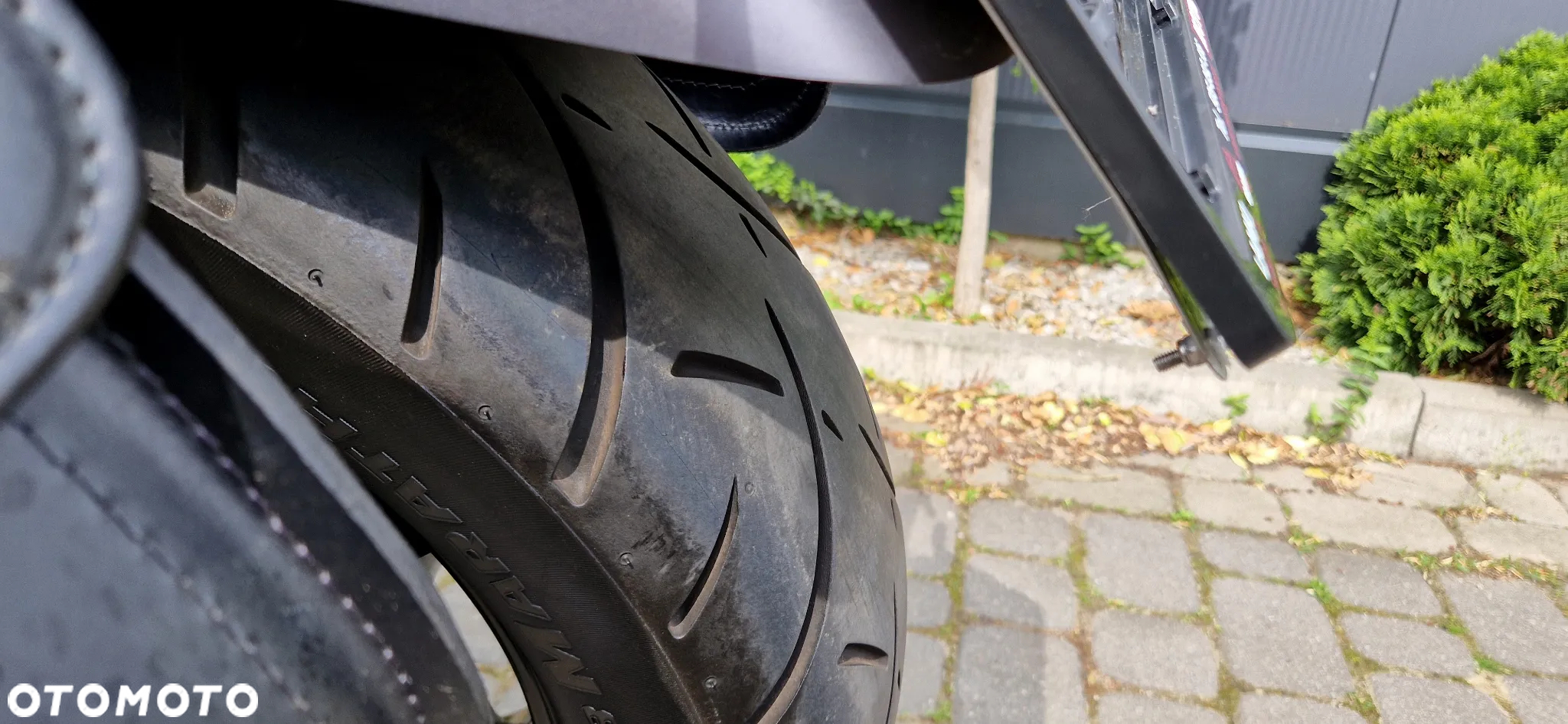 Triumph Speedmaster - 31