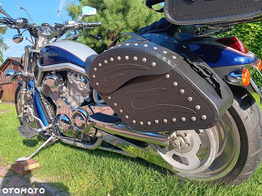 Harley-Davidson V-Rod Street Rod - 7