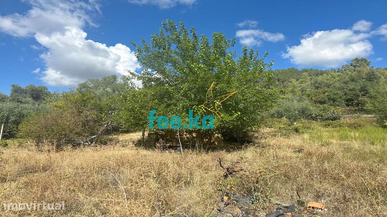 Terreno em Monfortinho - Grande imagem: 3/15