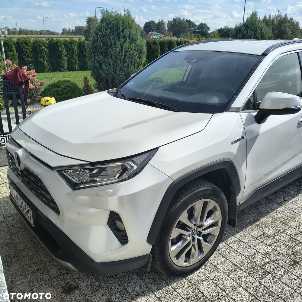 Toyota RAV4 2.5 Hybrid Executive 4x2 - 14