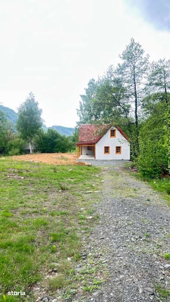 CHIUZBAIA 2CABANE cu teren de aprox. 70ari ! - Imagine principală: 5/6