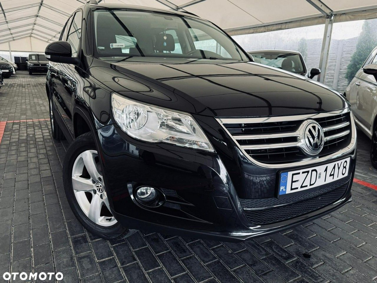 Volkswagen Tiguan - 1