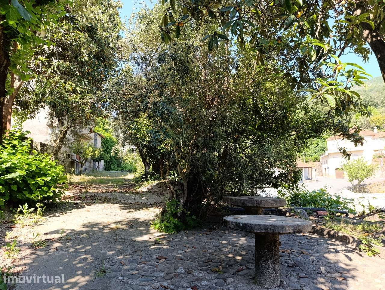 Casas históricas com terreno junto à Serra da Estrela - Guarda - Grande imagem: 5/31
