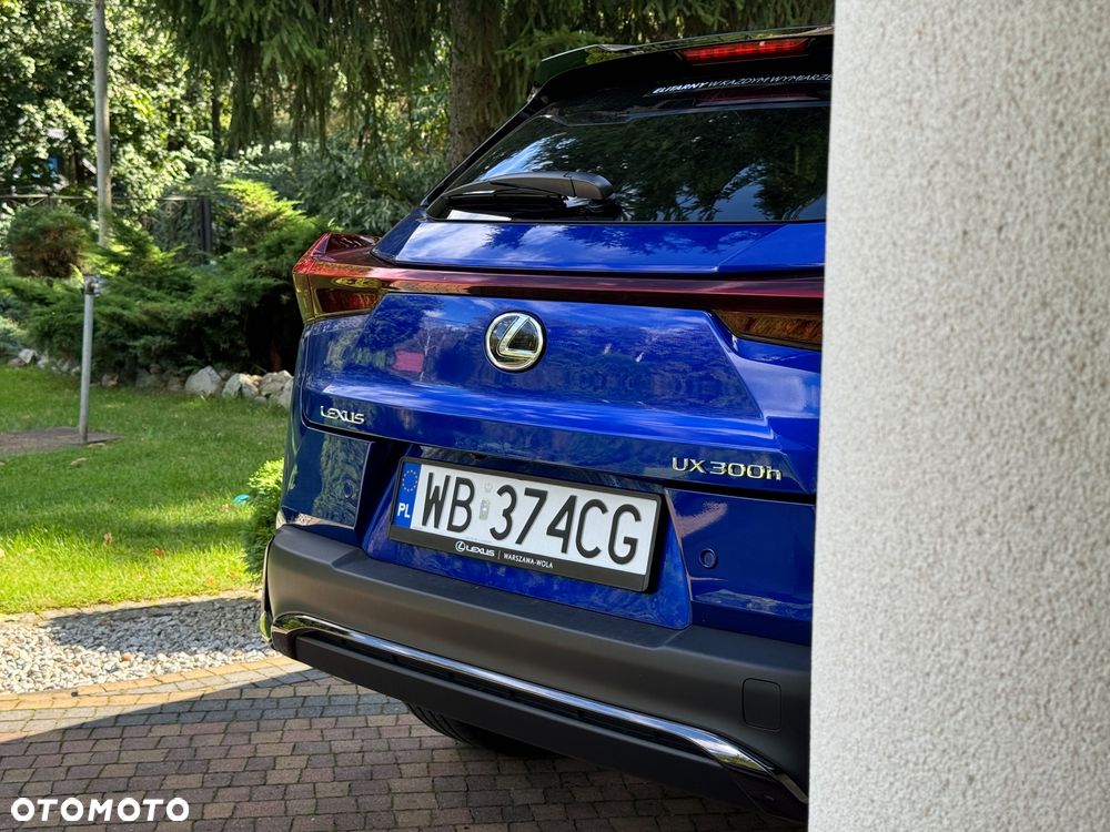 Lexus UX - 6