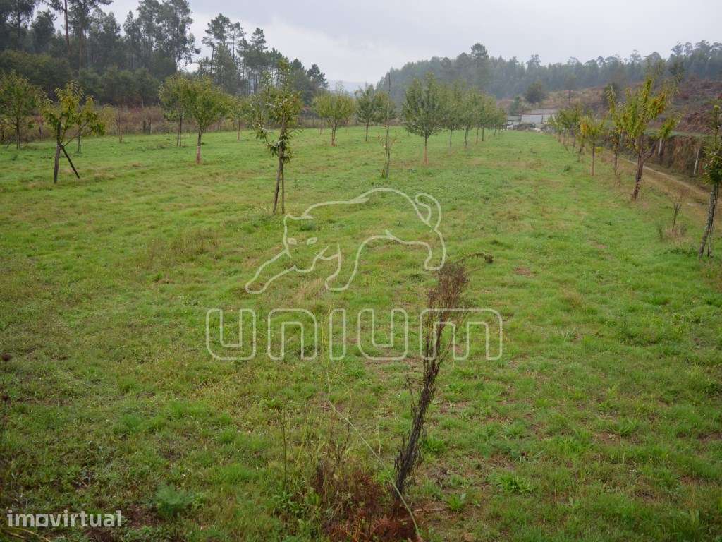 Terreno em Freixo - Grande imagem: 5/6