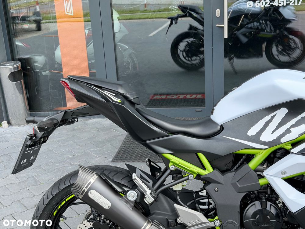 Kawasaki Ninja - 10