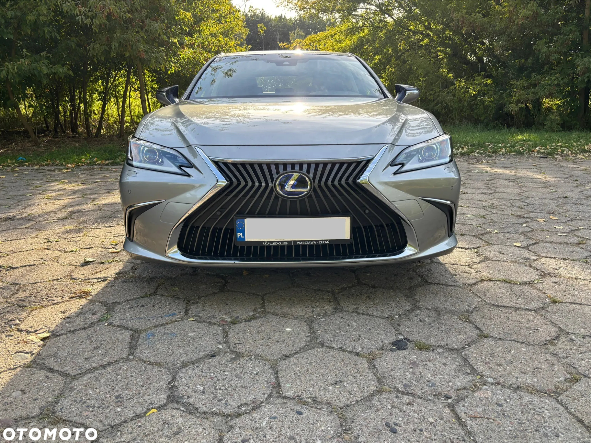 Lexus ES 300h Business Edition + - 5