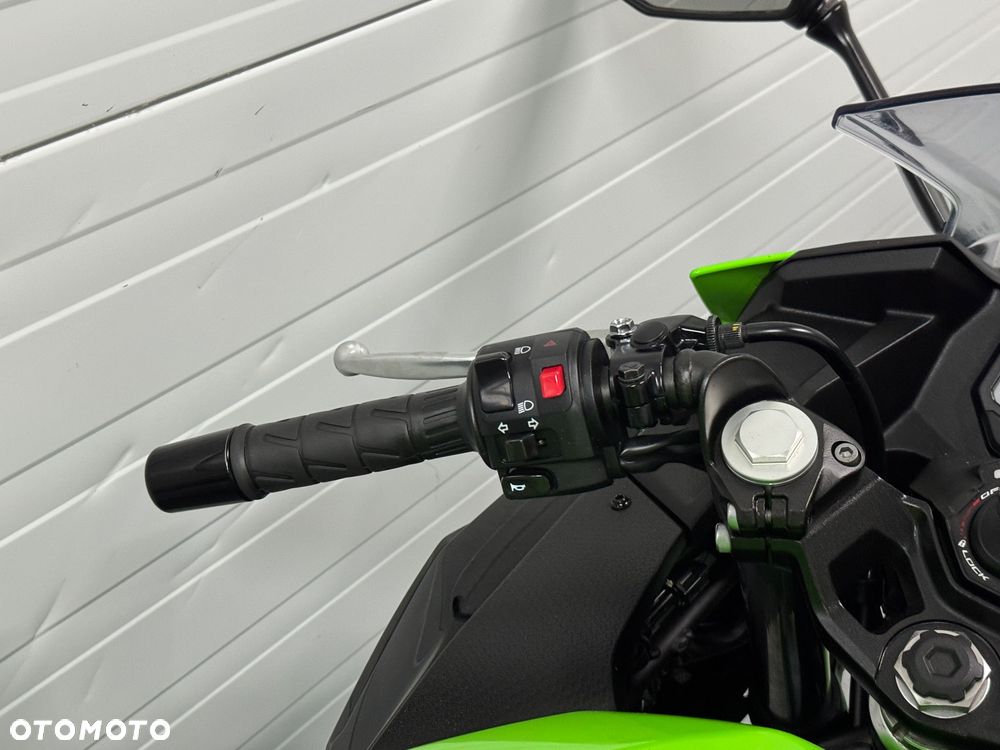 Kawasaki Ninja - 14