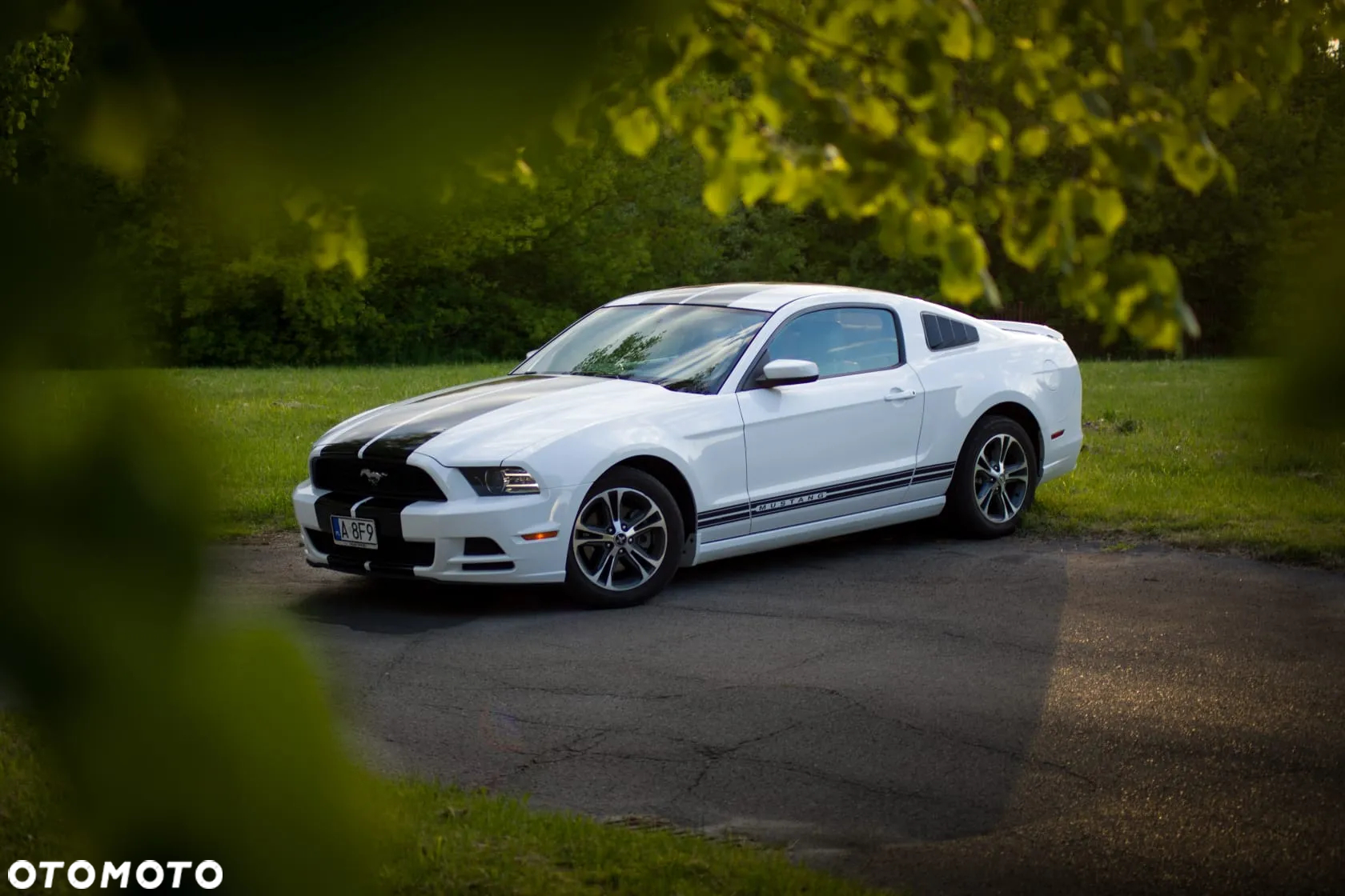 Ford Mustang 3.7 V6 Premium - 40
