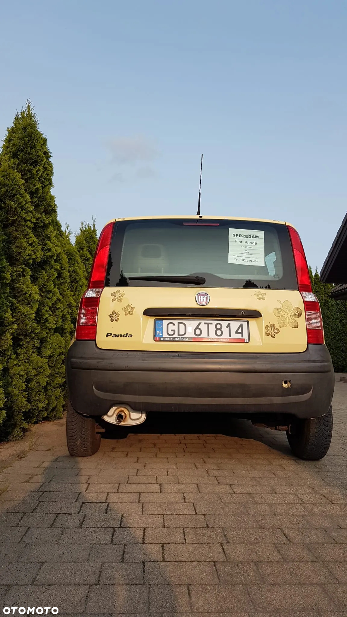 Fiat Panda 1.1 Active Eco - 5
