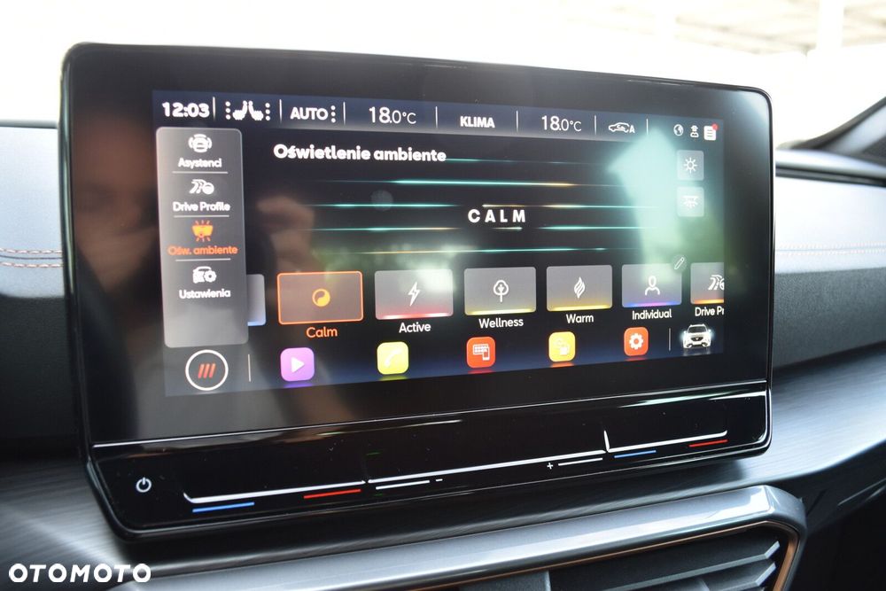 Cupra Formentor 1.5 TSI DSG - 28