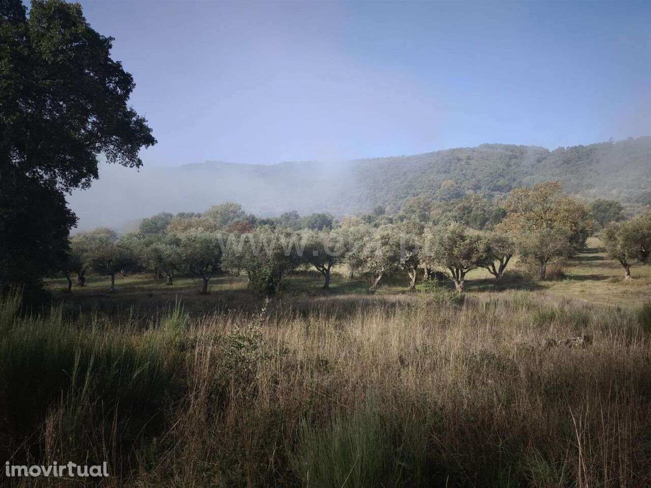 Terreno / Fundão, Telhado - Grande imagem: 2/8