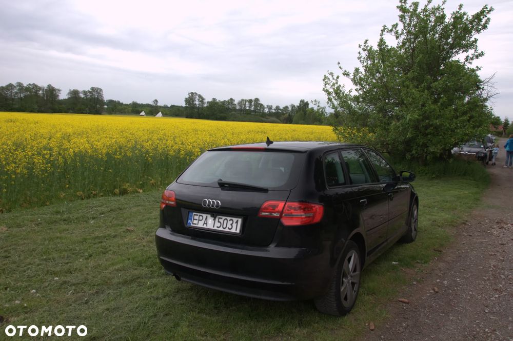 Audi A3 Sportback 1.6 TDI 102g DPF - 3