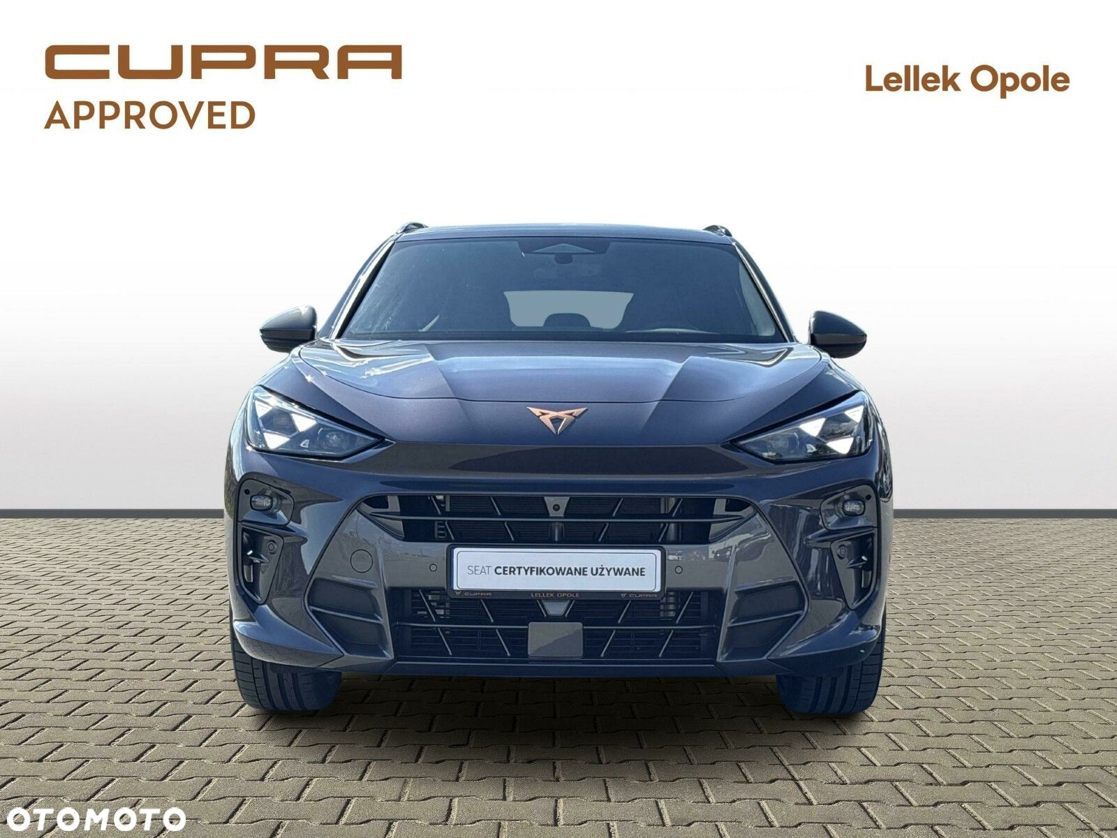 Cupra Terramar 2.0 TSI 4Drive VZ DSG - 8