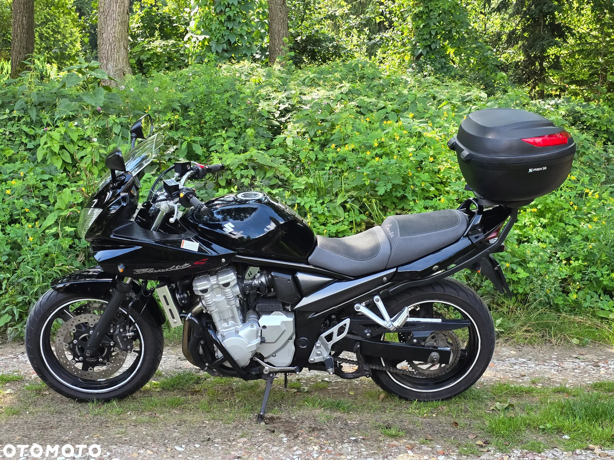 Suzuki Bandit - 5