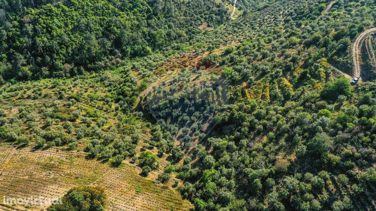 Terreno  para venda - Grande imagem: 5/10