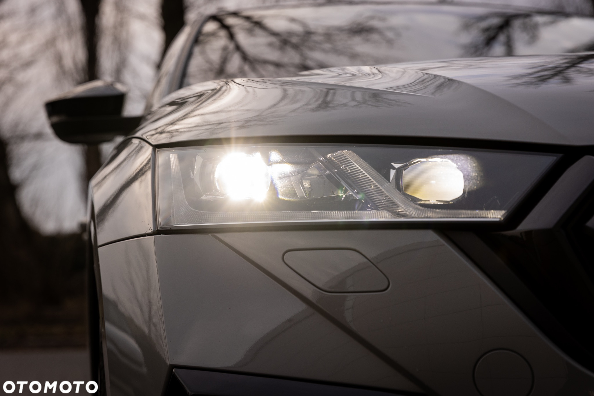 Skoda Octavia 2.0 TSI RS 245 DSG - 31