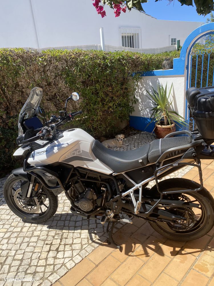 Triumph Tiger 900 GT - 1