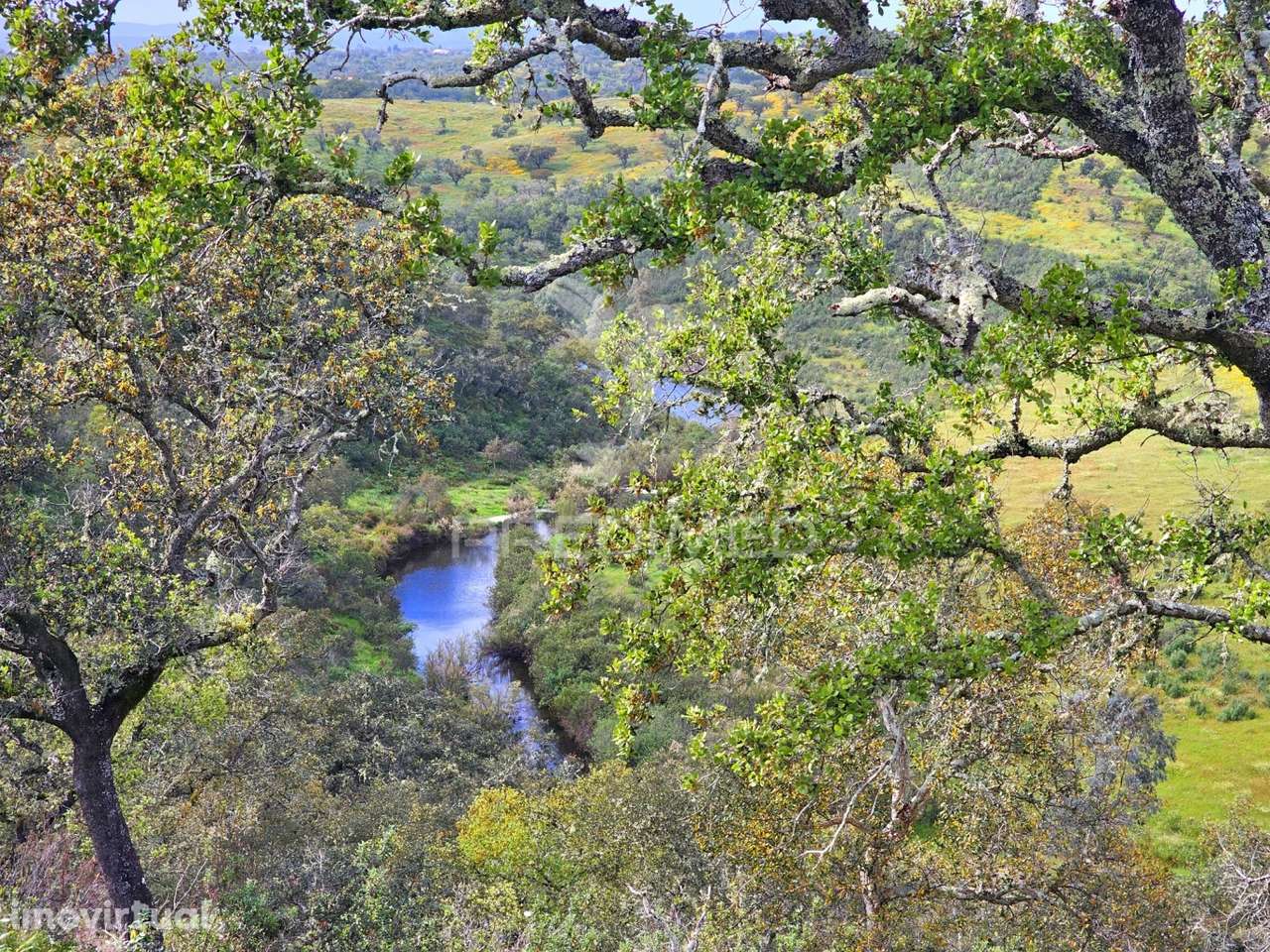 Terreno rústico com 28 hectares - Grande imagem: 5/14