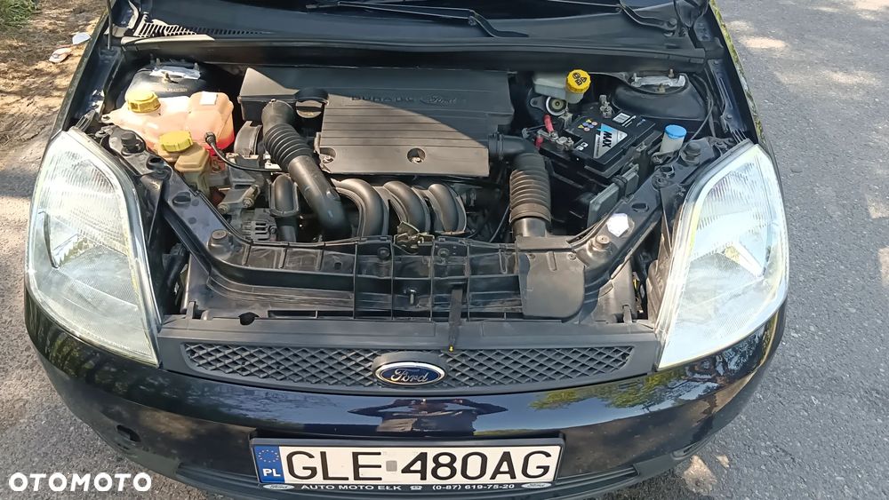 Ford Fiesta 1.25 FX Silver - 4