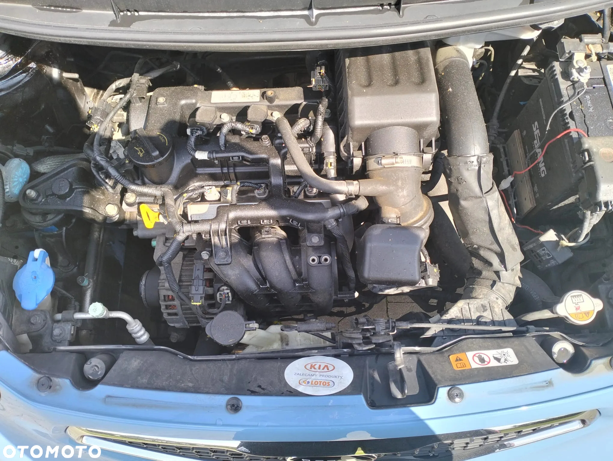 Kia Picanto - 9