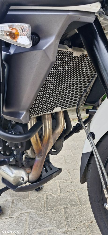 Triumph Tiger - 30