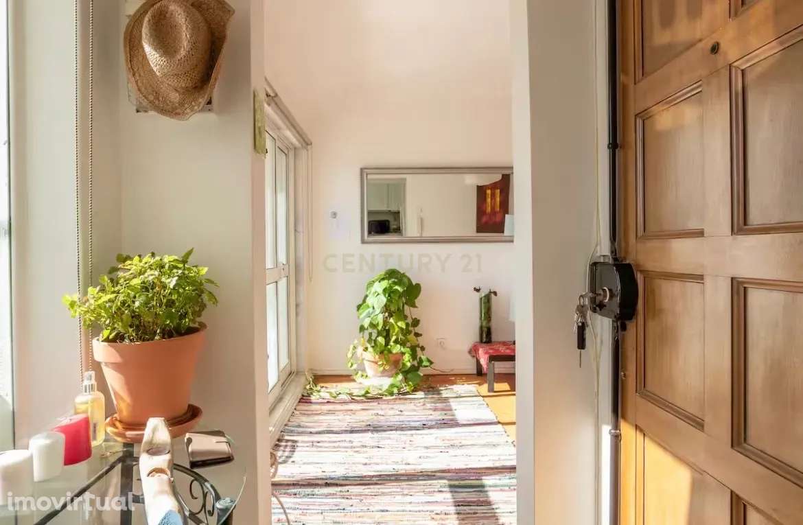 T1 com Terraço – Cruz Quebrada, Dafundo - Grande imagem: 4/22