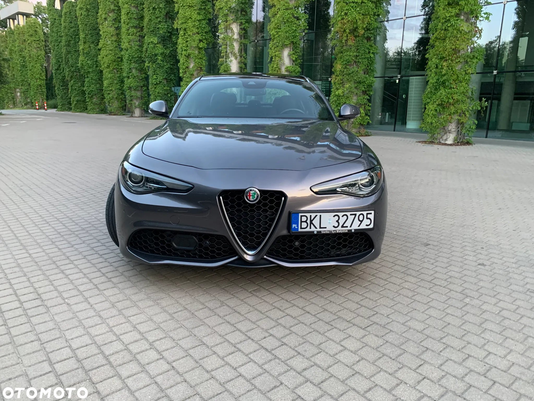 Alfa Romeo Giulia - 2