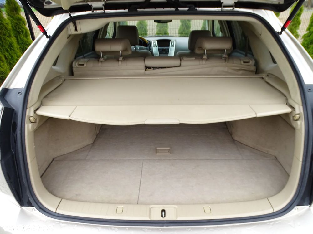 Lexus RX Lux - 21