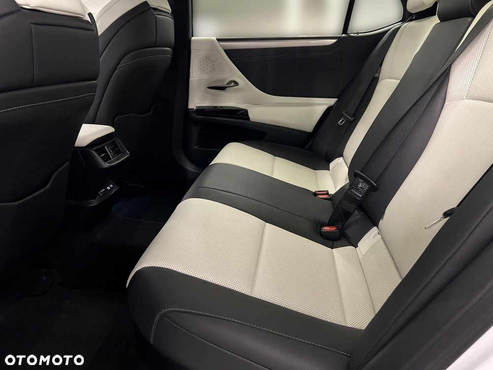 Lexus ES 300h F Sport Edition - 13