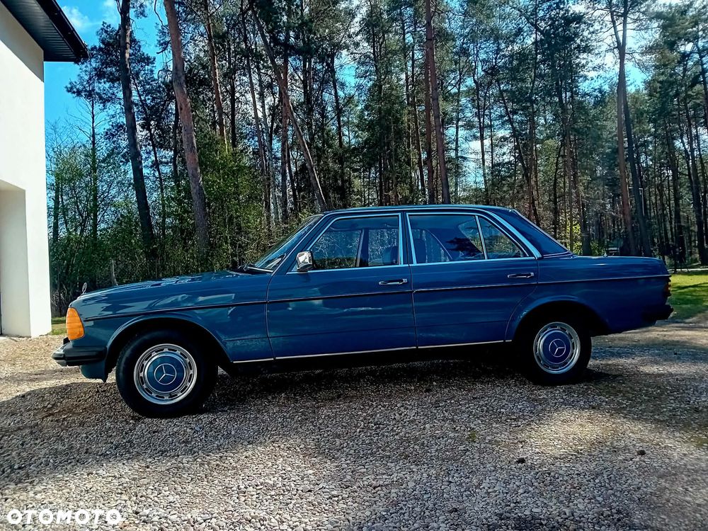 Mercedes-Benz W123 - 4