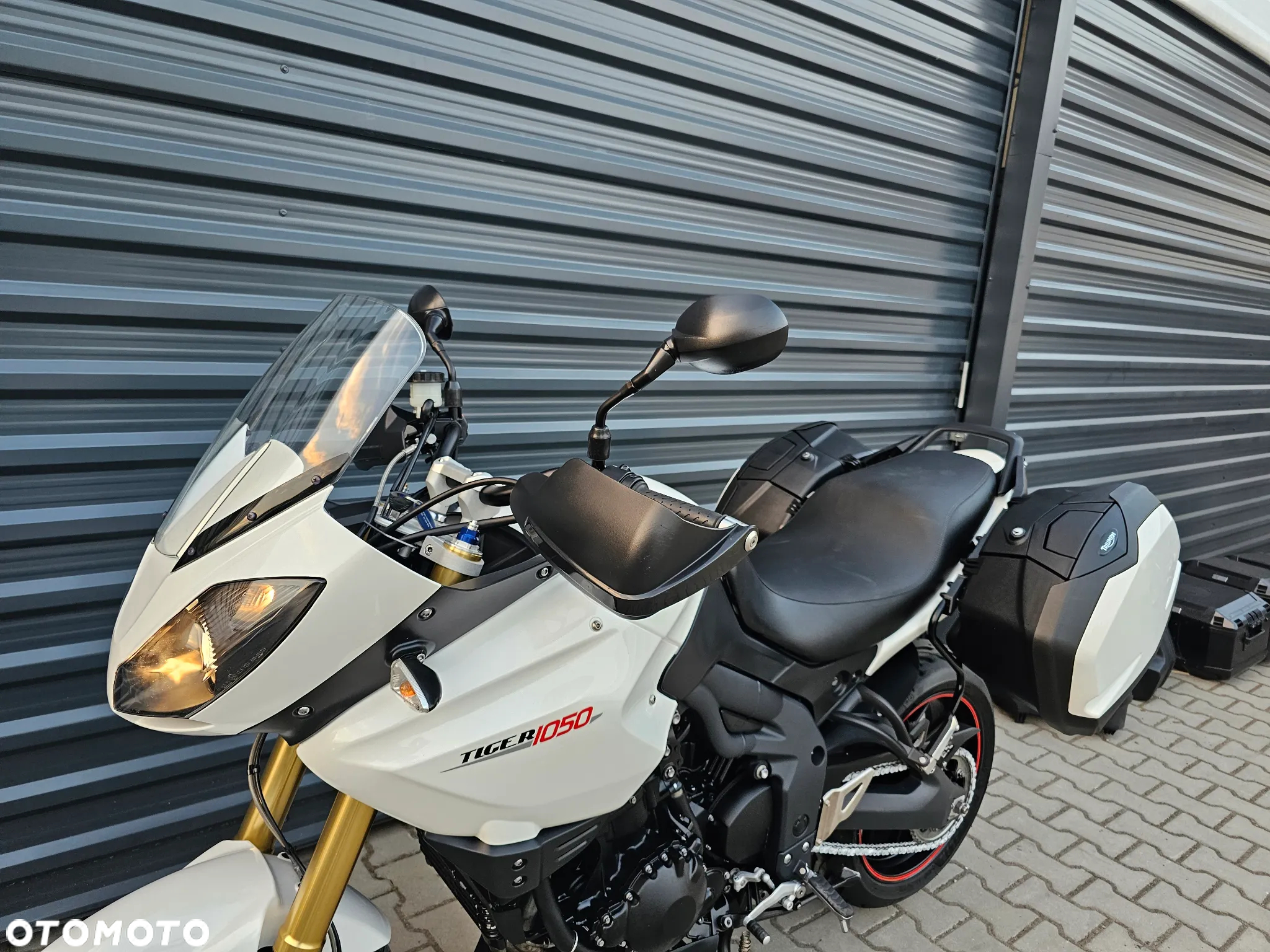 Triumph Tiger - 8
