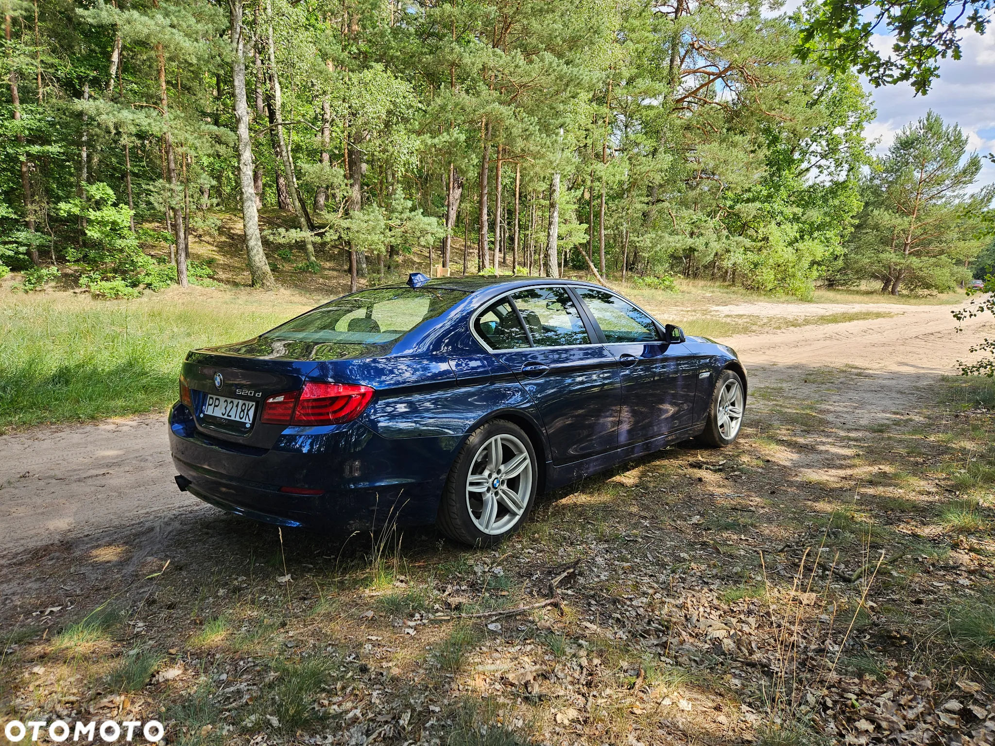 BMW Seria 5 520d - 4