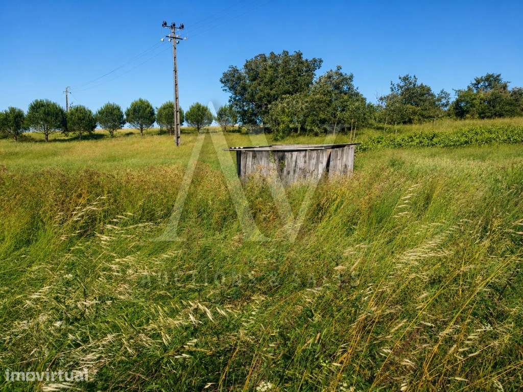 Excelente oportunidade de Terreno Urbanizável - Grande imagem: 3/10