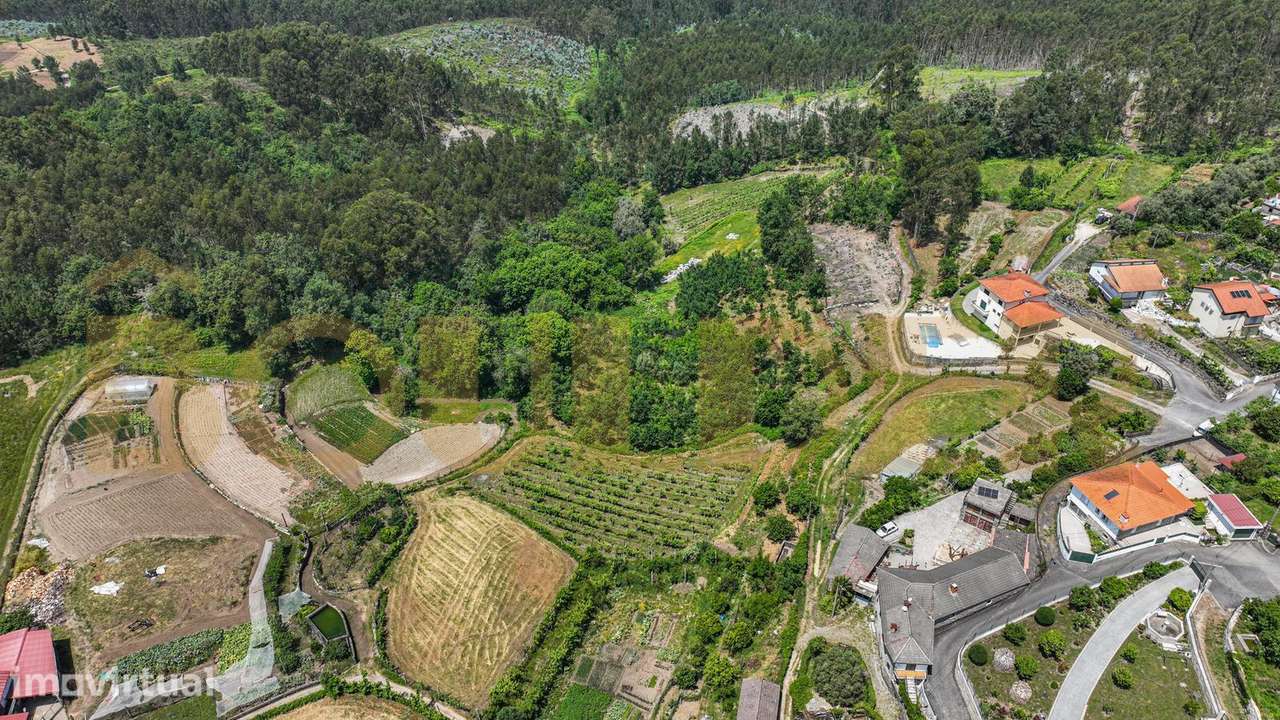 Terreno agrícola em Sobradelo da Goma - Grande imagem: 5/17