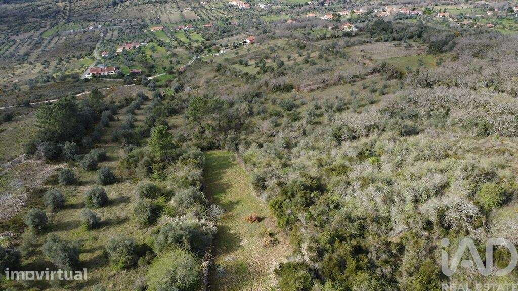 Terreno em Chãos de 2000,00 m2 - Grande imagem: 2/27