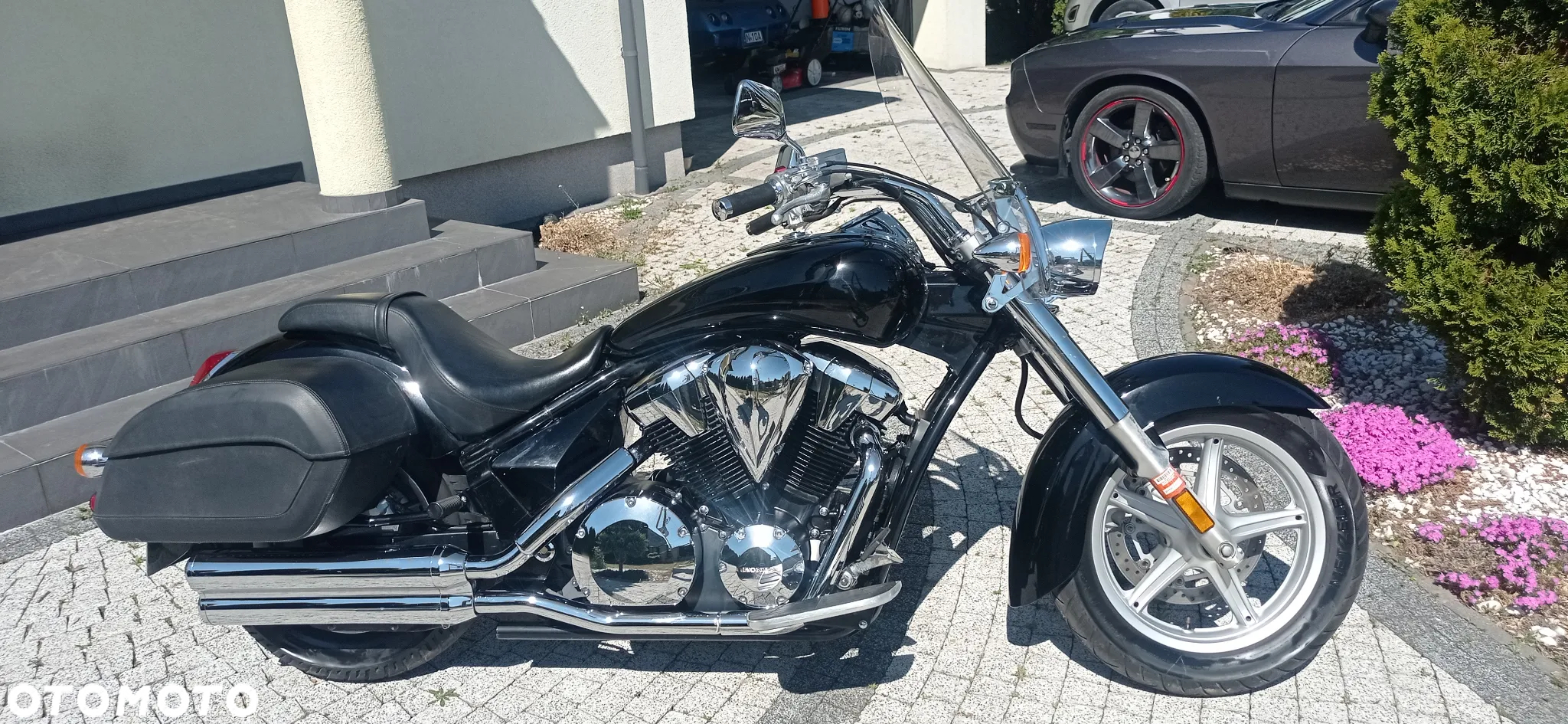 Honda VT - 11