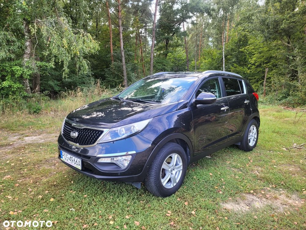 Kia Sportage - 1