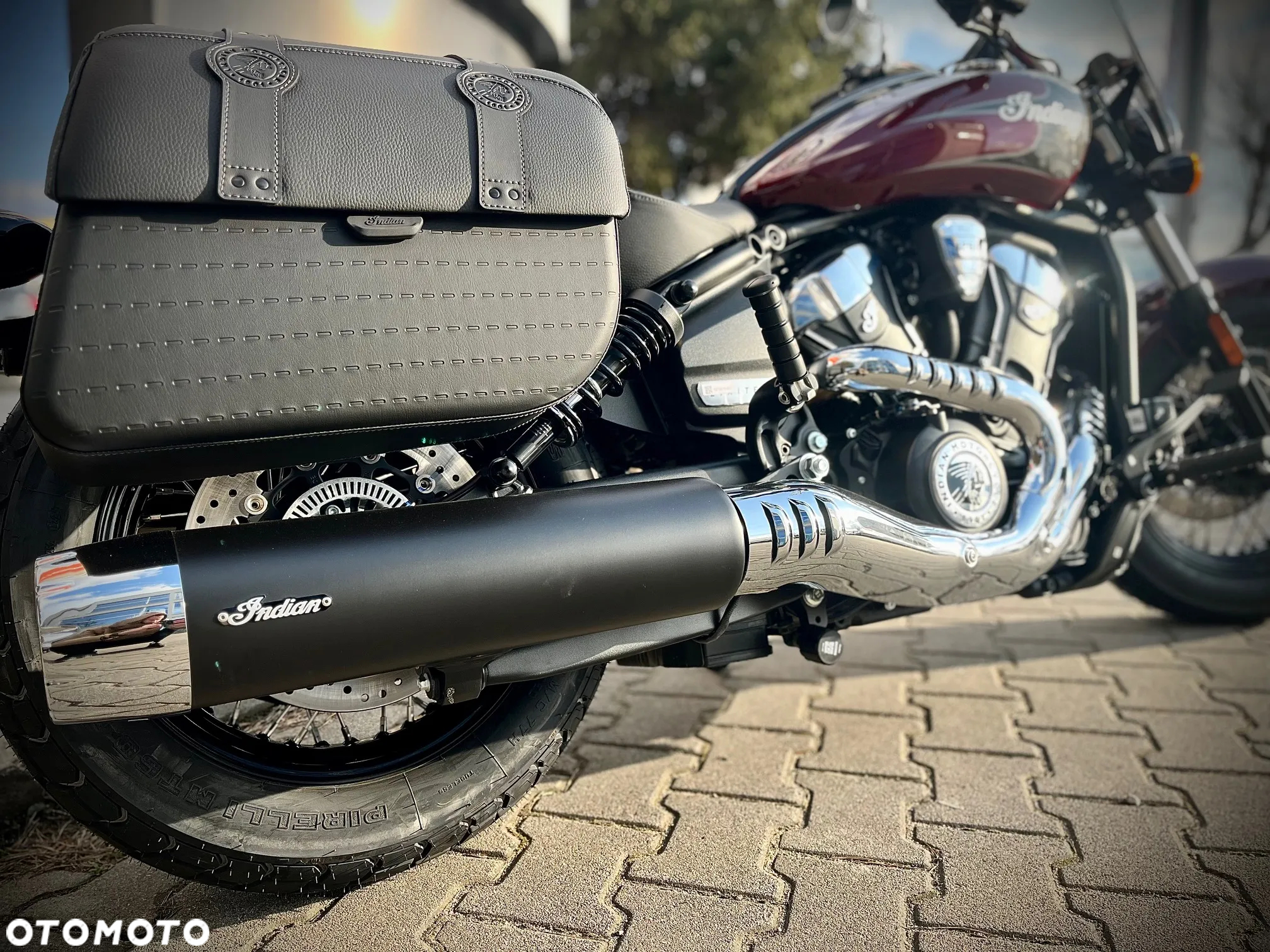 Indian Scout - 8