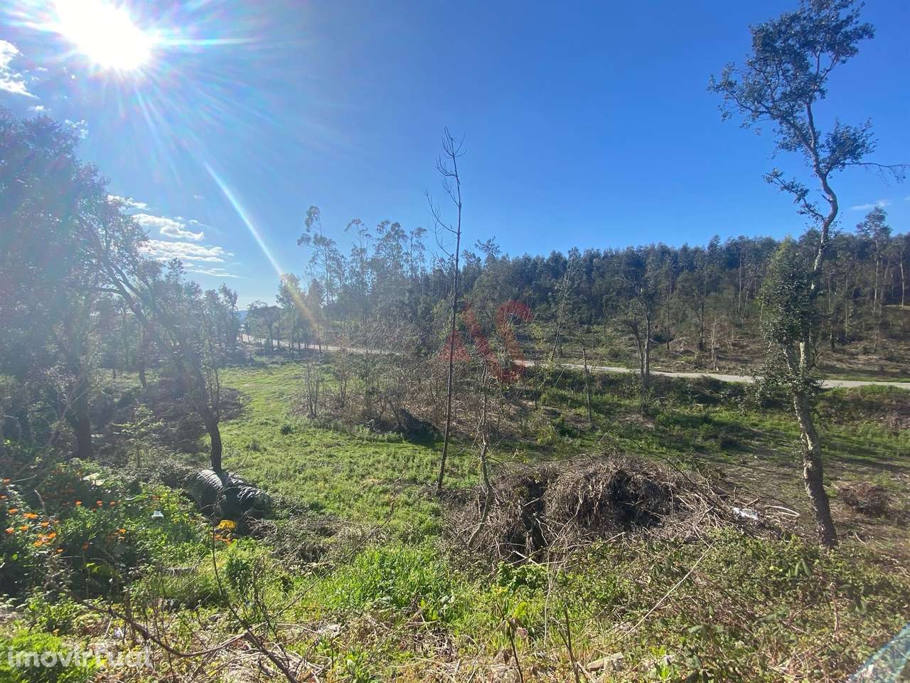 Terreno de Construção com 3.109m2 em Sousela, Lousada - Grande imagem: 5/6