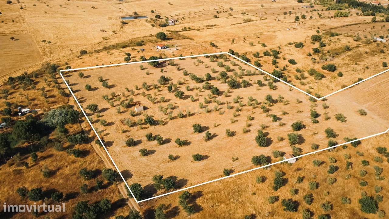 Propriedade rústica com potencial agrícola, habitacional e turístico – - Grande imagem: 5/22