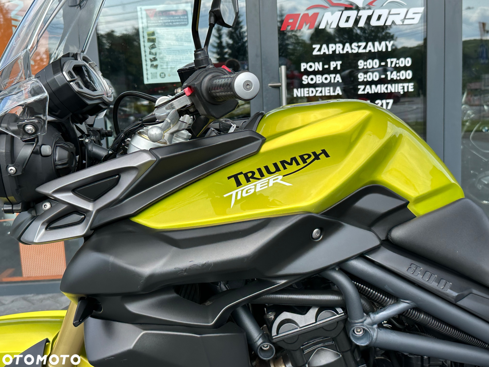Triumph Tiger - 33