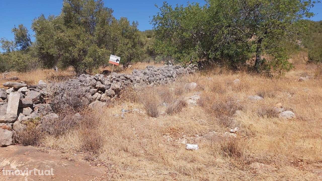 Terreno  para venda - Grande imagem: 2/8