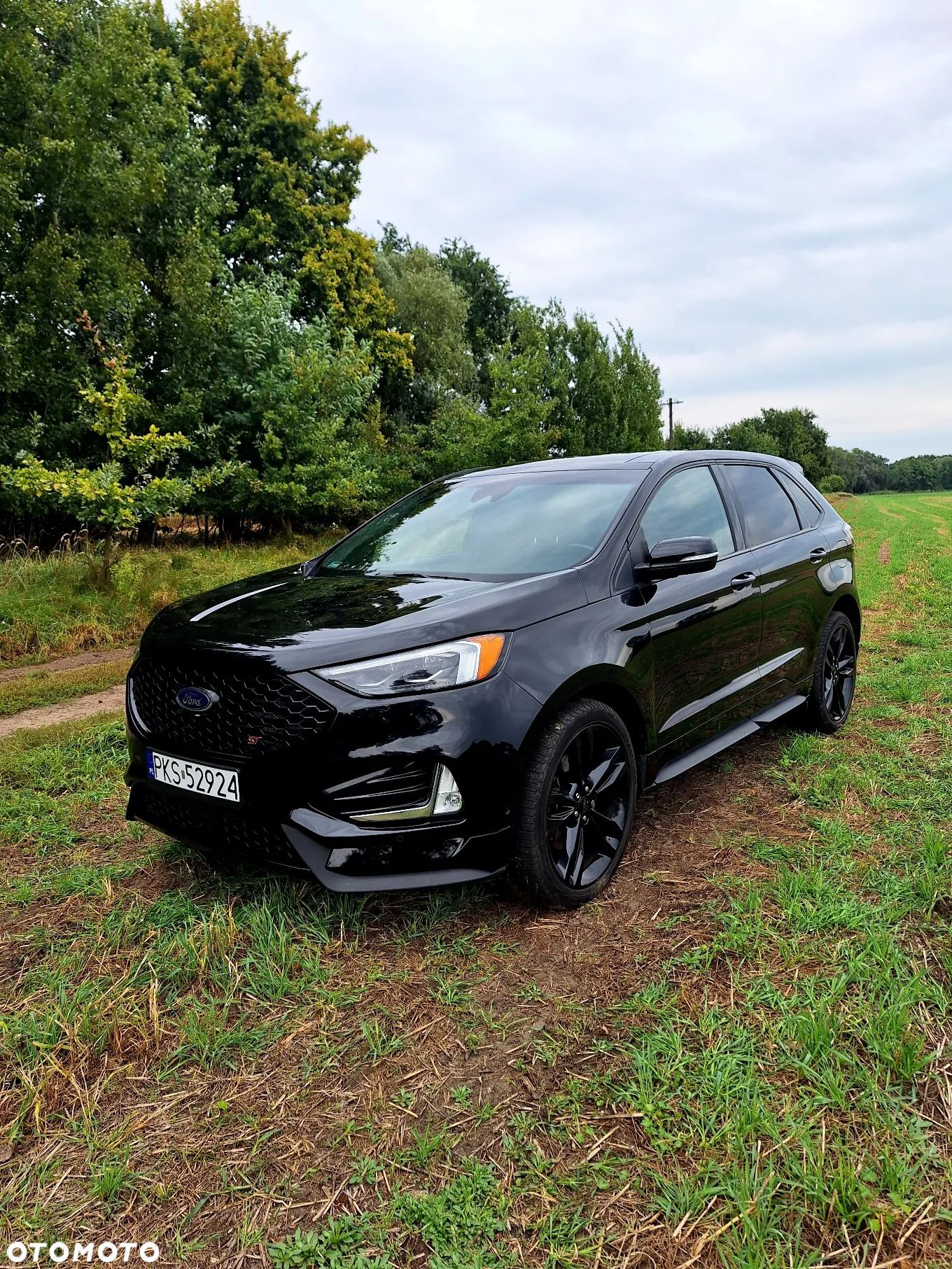 Ford Edge - 1