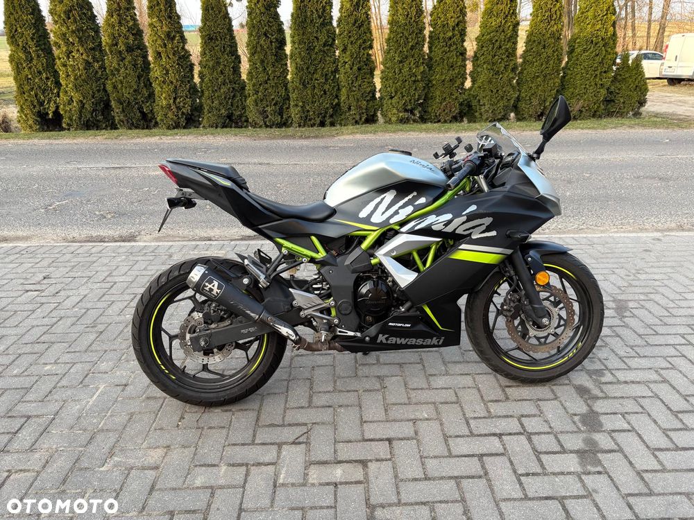 Kawasaki Ninja - 3
