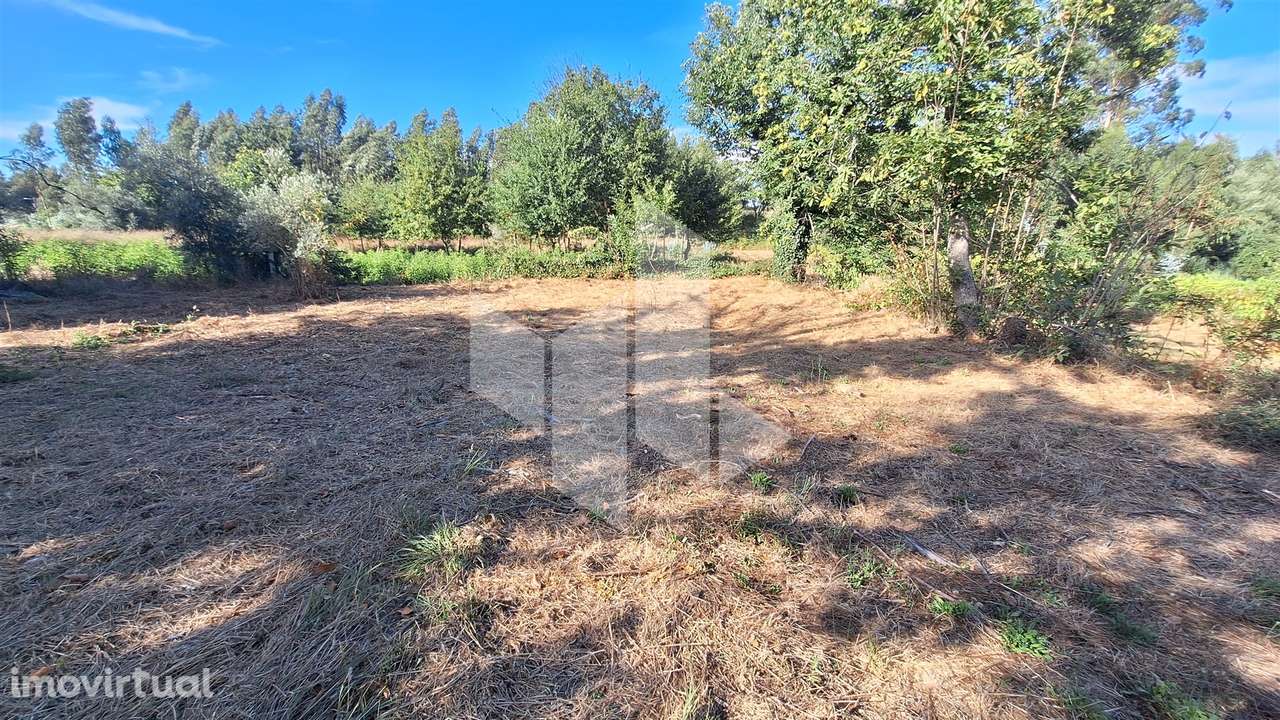 Moradia Isolada T0 Venda em Dardavaz,Tondela - Grande imagem: 5/7