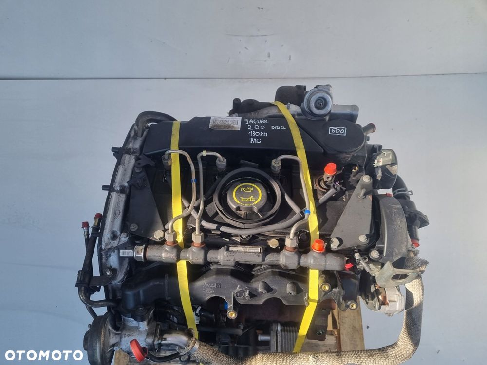 SILNIK KOMPLET Jaguar X-Type 2.0 D TDCI 130KM FMBA - 14