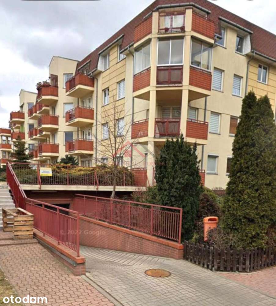 Wynajmę od zaraz. Film i spacer wirtualny w ofercie