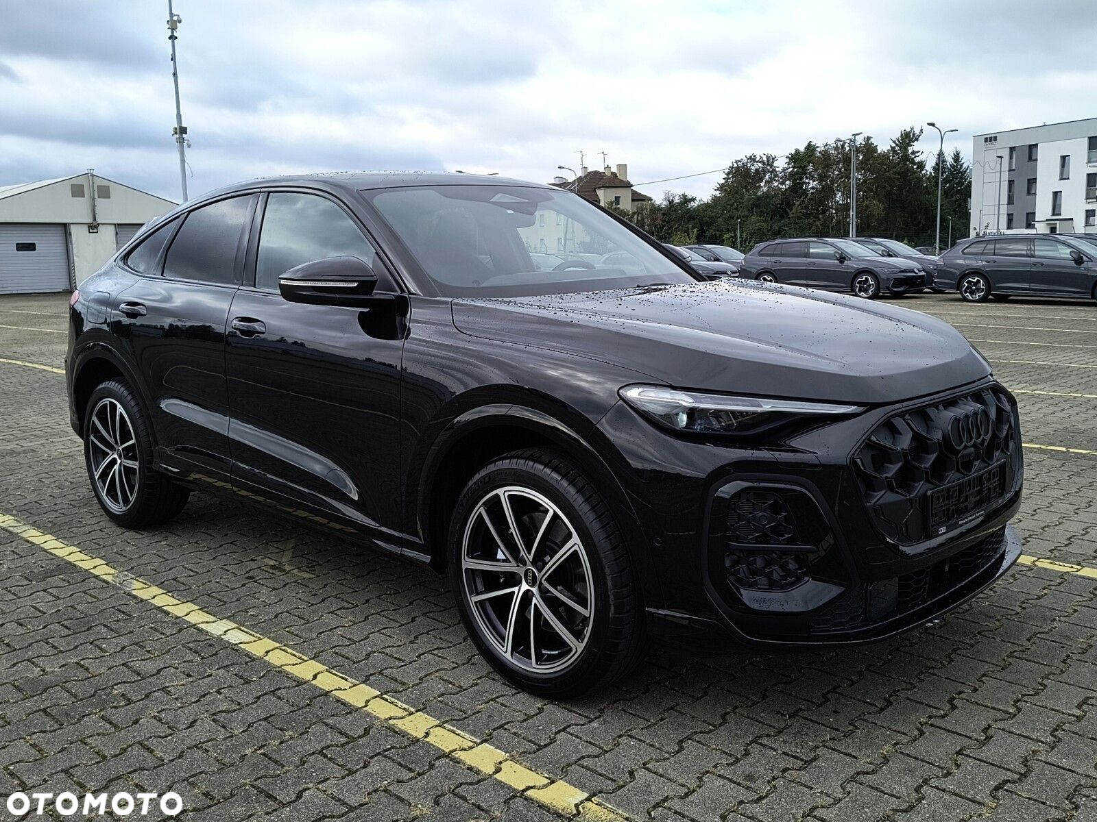 Audi SQ5 - 6